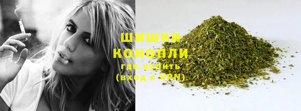 PSILOCYBIN Абаза