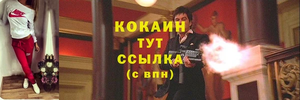 гидропоника Карпинск